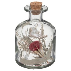 Fleurs séchées dans bouteille en verre Rouge