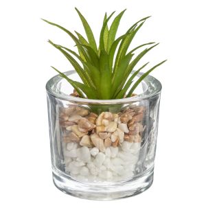 Plante verte dans pot en verre H.10 cm