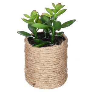 Plante verte artificielle dans pot en corde