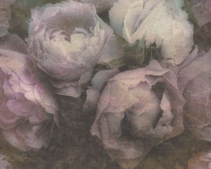 Papier peint Floral Gris Rose