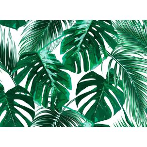 Décor Panoramique Palm Leaves 1, 5 Panneaux