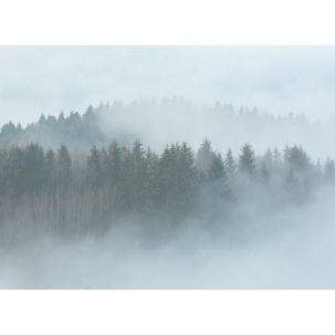 Décor Panoramique Misty Forest 5 Panneaux