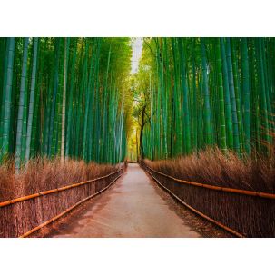 Décor Panoramique Bambus Walk 5 Panneaux