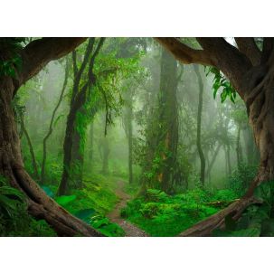 Décor Panoramique Tropical Forest 5 Panneaux