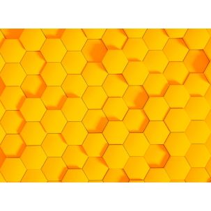 Décor Panoramique Honeycomb 2, 5 Panneaux