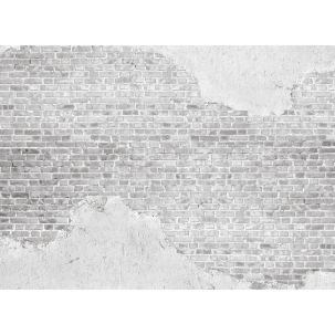 Décor Panoramique Old Brick Wall 5 Panneaux