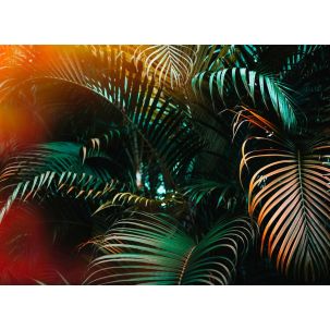 Décor Panoramique Jungle Colour 5 Panneaux