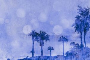 Décor panoramique Palmier 4 Panneaux Premium Bleu